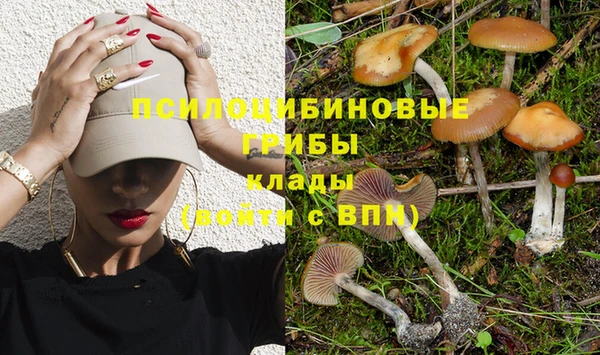 герыч Майский