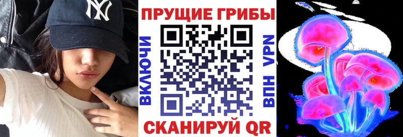 мориарти какой сайт Тетюши Галлюциногенные грибы Cubensis